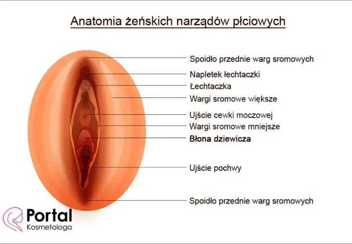 Jak poznać, że kobieta jest dziewicą - prawda o virginity i znakach